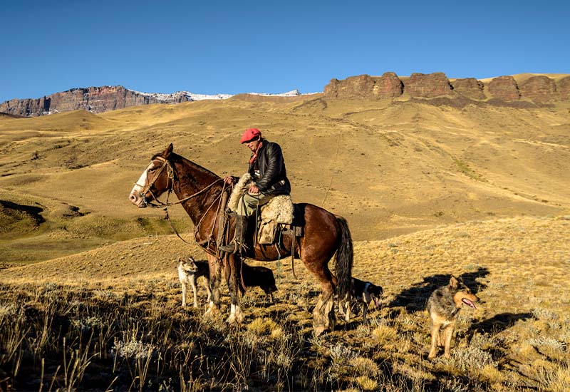 descrição da imagem