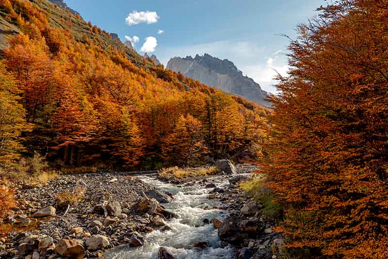 D’Agostini Pass-Right