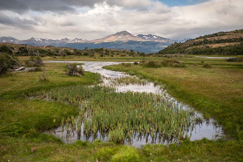 Humedales de Vega Castillo-Izquierda