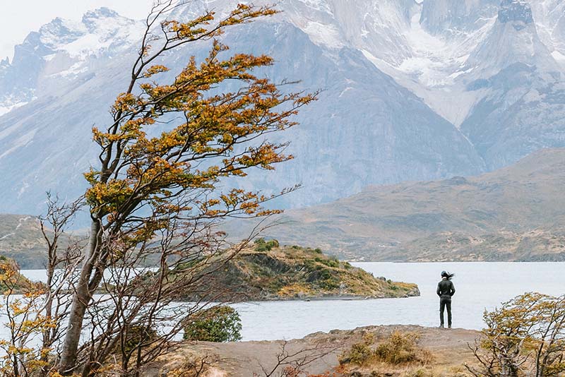 Postcards of Patagonia-Right