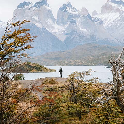 Scenic<br />Patagonia