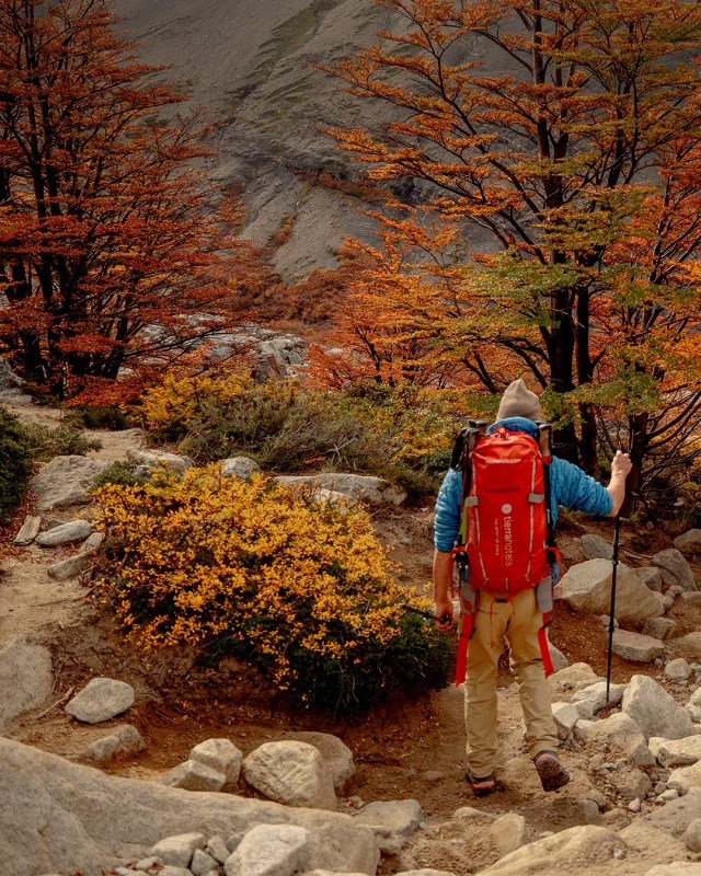 Would you be brave enough to keep walking? 🫢
Hiking to Base Torres isn’t just about the destination, it’s about every breathtaking step along the way 🏔️🍂
With views this wild, even a majestic puma might cross your path 🐾👀
Nature always has a surprise up her sleeve.

#TierraPatagonia #BaseTorres #TierraHotels