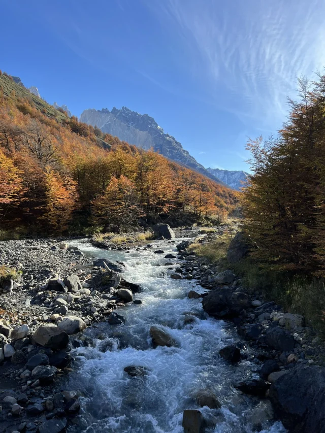 The magic of Patagonia will linger a little longer into next year, with Tierra Patagonia welcoming guests through to May 3, 2026.

Why visit in the autumn? Golden lenga forests glow, crisp light sharpens every horizon, and the park feels entirely your own - perfect for photography. Wildlife drifts closer as the summer bustle fades, and you may even glimpse the rare huemul deer through the woodlands. Peace and quietude reign, offering moments of wonder and a deeper connection to this remote, wild landscape.

#TierraPatagonia #BaillieLodges 

📷: Esteban Bagnis